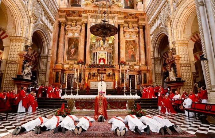 NEUE PRIESTER CÓRDOBA | Der Bischof weiht acht neue Priester der Diözese Córdoba