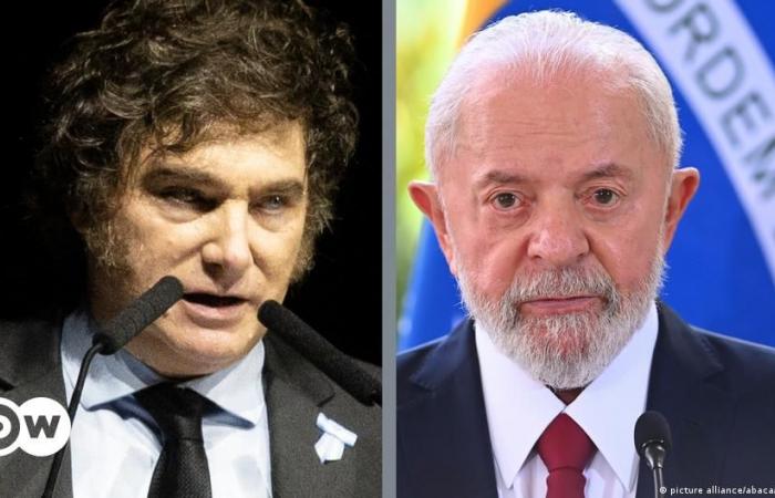 Javier Milei weigert sich, sich bei Lula da Silva zu entschuldigen – DW – 29.06.2024