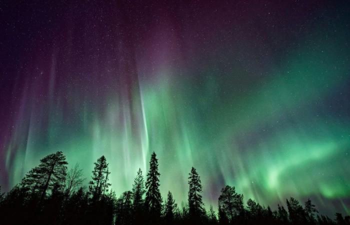 Sie filmten zum ersten Mal von der Erde aus ein riesiges und seltenes „Polarregen-Aurora“