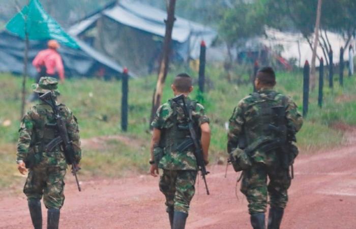 FARC-Dissidenten greifen die Polizeistation in Tambo, Cauca an | Nachrichten heute