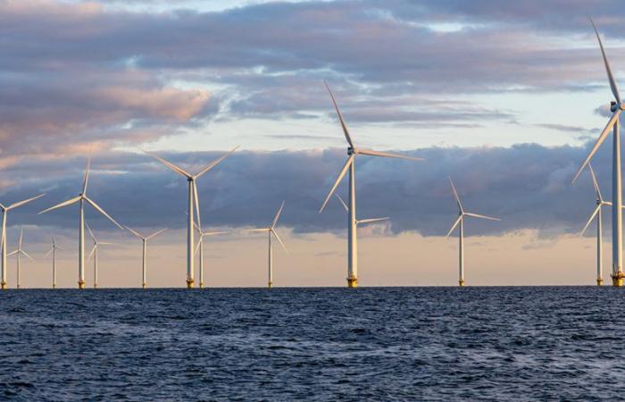 EDF schließt sich mit Blunova zusammen, um auf Sizilien einen schwimmenden Windpark mit 975 MW zu bauen