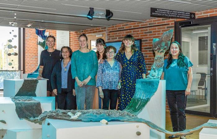 Die in Aysén hergestellte Textilarbeit, die Helsinki erreichte
