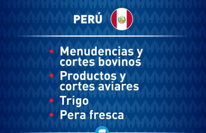 Copa América: Argentinien unterhält einen großen Export von Produkten mit Peru
