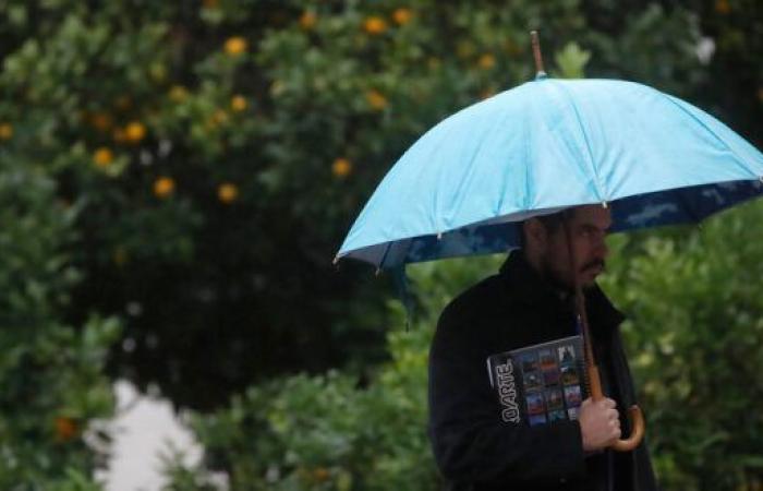 Starke Regenfälle fordern Hunderte Opfer « Diario y Radio Universidad Chile