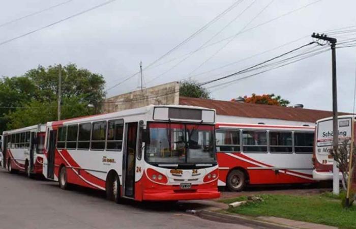Chaco: Aufgrund des Mangels an Bussen würde die Stadt Sáenz Peña den Busverkehr ermöglichen