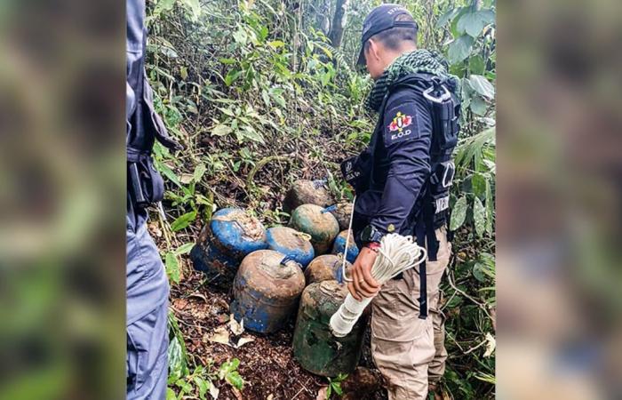 Die FARC-Dissidenten wollen Cali übernehmen und verfügen bereits über Terrorzellen, um das kalifornische Volk zu unterwerfen: SEMANA enthüllt, wie sie vorgehen