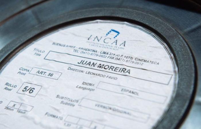 Sie prangern an, dass die Mega-Anpassung das INCAA-Archiv ernsthaft gefährdet