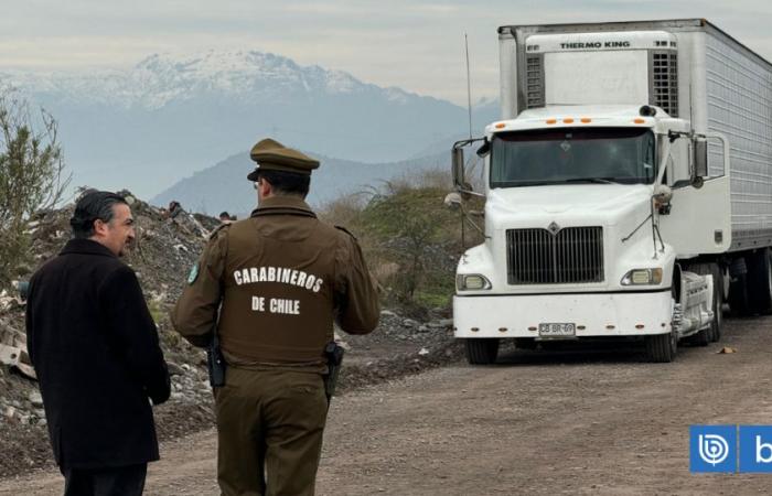 Bewaffnete Bande transportierte 22 Beutel Kokain in einem Lastwagen in San Bernardo: vier Personen festgenommen | National