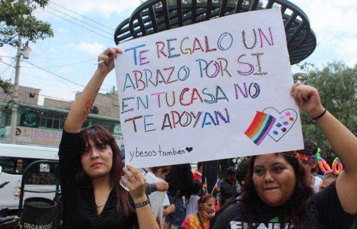 Entre Franjas: „LGBTIQA+-Stolz im Land mit dem Namen eines Dichters: Nezahualcóyotl – Chronik des dritten LGBTIAQ+-Marsches in Nezahualcoyotl“ von That Boy is Ruperto