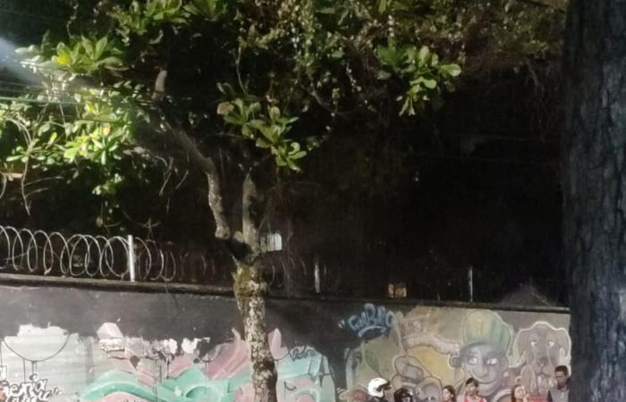 Junger Motorradfahrer starb, nachdem er in Bucaramanga gegen einen Baum prallte