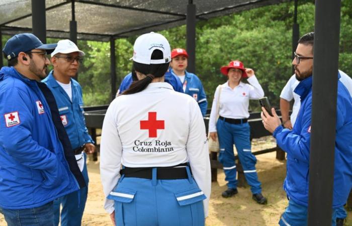 Rotes Kreuz schult Freiwillige im Notfalleinsatz S