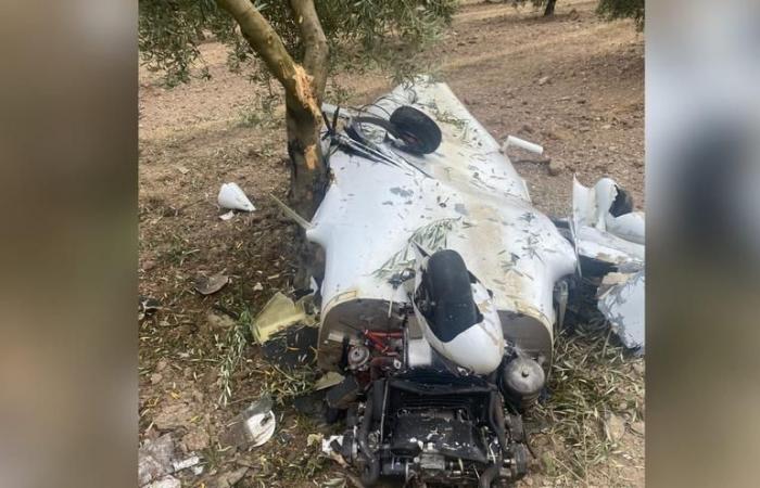 FLUGZEUG VERSTORBEN | Bei einem Kleinflugzeugunfall in einem Olivenhain in Castro del Río kommen zwei Menschen ums Leben