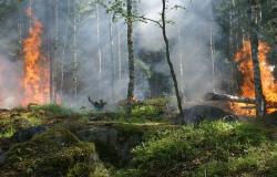 Höllische Brände im Himalaya aufgrund der drei Todsünden der Umwelt
