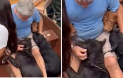 Überschwemmungsopfer weint laut, nachdem es in Brasilien seine Hunde getroffen hat. Emotionales Video ansehen | Im Trend