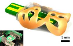 Klinische Labornachrichten des Tages – 3D-gedrucktes Point-of-Care-Massenspektrometer übertrifft modernste Modelle – Klinische Chemie
