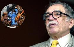 In England gefundener blauer Hummer, wie der im Film von Gabriel García Márquez