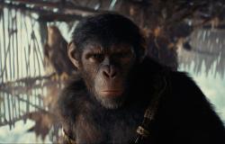„Königreich des Planet der Affen“ würdigt Caesars Vermächtnis, ohne dabei zu vergessen, auf seinen eigenen Baum zu klettern