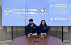 Mehr als die Hälfte der nachgewiesenen Viren entsprechen der Influenza Typ A « Diario y Radio Universidad Chile