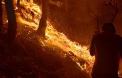 Waldbrände in Uttarakhand fordern 5 Todesopfer und betreffen 1.300 Hektar