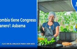 „Kolumbien hat einen Bananenkongress“: Asbama
