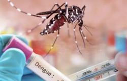 Sechs Todesfälle durch Dengue-Fieber in Huila: Die Warnung bleibt bestehen