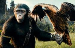 „Planet der Affen: Neues Königreich“ ist von einem in Mexiko gedrehten Gewaltfilm von Mel Gibson inspiriert – Filmnachrichten