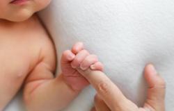 Weltweit sinken die Geburtenraten rapide: Die internationale Gemeinschaft ist alarmiert