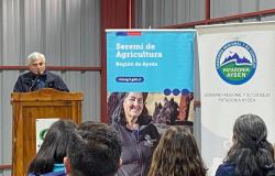 Cochrane: Erstes Holzverarbeitungs-, Lager- und Sammelzentrum in Patagonien eingeweiht