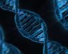 Was ist DNA? 5 Fakten, die Sie wissen sollten