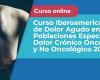 Iberoamerikanischer Kurs zu akuten Schmerzen in besonderen Bevölkerungsgruppen und chronischen onkologischen und nicht-onkologischen Schmerzen 2024