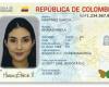 Digitaler Ausweis: Die Länder, in die Sie nur mit diesem Dokument und ohne Reisepass reisen können