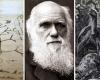 8 Bücher, die die Geschichte der Wissenschaft geprägt haben