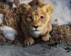Erster Trailer zu „Mufasa: Der König der Löwen“, dem Prequel, das den Ursprung der Legende aufdeckt