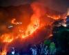 Waldbrände in Nainital: Fotos von verheerenden Waldbränden in Uttarakhand; kein Ende in Sicht
