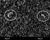 Der Asteroid Apophis wird sich 2029 der Erde nähern und so bereitet sich die NASA vor | Nachricht