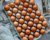 Warum braune Eier mehr kosten als weiße