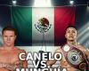 Wer hat den Boxkampf gewonnen? Canelo oder Munguia, Endergebnis und neuer Champion | Reddit | VERWENDET
