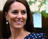 Über den Gesundheitszustand von Kate Middleton wurde eine ungewöhnliche Information bekannt: was passiert ist