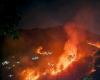 Warum steht Uttarakhand in Flammen? Wichtige Details zu den Waldbränden des Staates | Indische Nachrichten