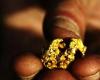 Dieb stiehlt und verschluckt 11,7 Gramm Gold – myRepublica