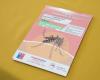 Seremi de Salud Valparaíso verstärkt die Bekämpfung der Dengue-Fieber übertragenden Mücke – G5noticias