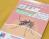 Seremi de Salud Valparaíso verstärkt die Bekämpfung der Denguefieber übertragenden Mücke – Radiofestival