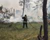 Der russische Beschuss verursachte über Nacht drei Waldbrände im Bezirk Kupiansk