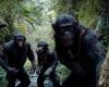 Rezensionen: Rezension zu „Königreich des Planet der Affen“, einem Film von Wes Ball