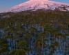Dies sind die Vulkane, die Sie in Chile nicht verpassen dürfen