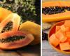 Was passiert mit Ihrem Körper, wenn Sie jeden Tag Papaya essen? Die Auswirkungen auf Ihre Gesundheit