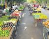 Heißer Sommer treibt Gemüsepreise in die Höhe | Neueste Nachrichten Indien