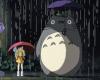 So würde Totoro laut künstlicher Intelligenz im wirklichen Leben aussehen