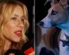 Nicole Neumann äußerte sich zur Kontroverse mit Arturo, dem Hund von Big Brother: „Sie sollten ihn zurückbringen“