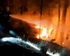 Waldbrände in Uttarakhand: 5 Menschen tot, 1.300 Hektar betroffen, sagt Beamter | Neueste Nachrichten Indien